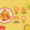 Bagrrys Corn Flakes Plus Original Healthier - Added Fibre- NPS1013 - Image 3