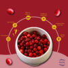 Khari Foods Cranberry Dried- AXQ1001 - Image 4