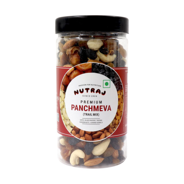 Nutraj Classic Premium Panchmeva Jar- UBQ1058