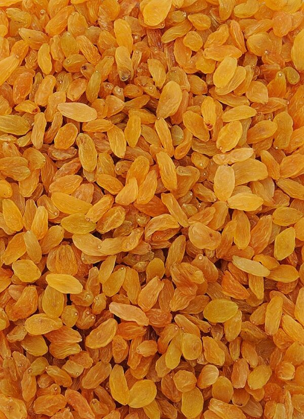 Popular Essentials Dry Grapes/Raisins- VUW1066 - Image 4