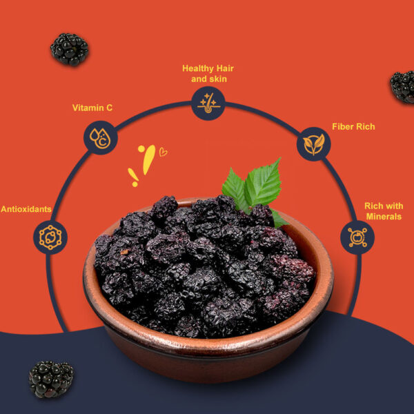 Khari Foods Blackberries Dried- VUW1069 - Image 4