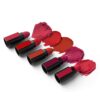 Renee Fab 5 5In1 Lipstick- QTB1025 - Image 5