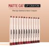 Swiss Beauty Non-Transfer Matte Cat Lip Crayon Shade - Brick Shell- EQQ1002 - Image 2