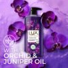 Lux Body Wash Fragrant Skin Black Orchid Scent & Juniper Oil Supersaver With Long Lasting Fragrance- ASG1019 - Image 4