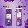 LUX Shower Gel| Black Orchid Fragrance & Juniper Oil Bodywash- ASG1027 - Image 3