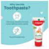 Colgate Toothpaste for Kids (0-2 years), Natural Fruit Flavour, SLS & Fluoride free- EQB1031 - Image 3