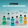 Listerine Total Care Mild Taste- EQB1040 - Image 4