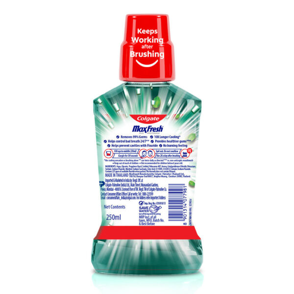 Chicco Toothpaste Mildmint 6Y+ Withfluoride- EQB1044