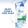 Head & Shoulders Cool Menthol Anti Dandruff Shampoo for Women & Men- DCE1019 - Image 3