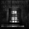 Beast Life Super Micronized Creatine Monohydrate- XWK1030 - Image 2