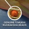 Seetara Rudraksha Bracelet - Gold | One Size- WKW1022 - Image 4