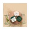 Biotique Wheatgerm Anti-Ageing Night Cream- FQF1023 - Image 4