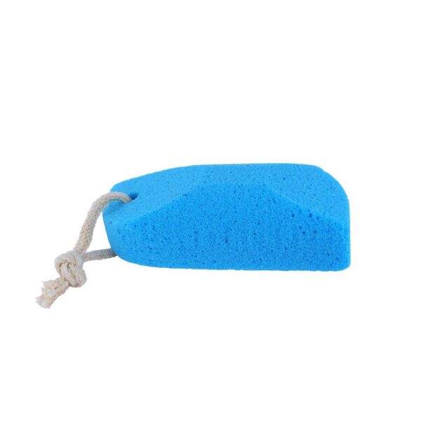 Vega Pumice Sponge- FJR1016