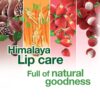 Himalaya Lip Balm- VRY1010 - Image 6