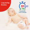 LuvLap Baby Diaper XL- GKR1045 - Image 3