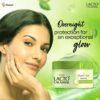 Lacto Calamine Green Tea Night Gel For Overnight Hydration & Moisturisation- VAQ1002 - Image 6