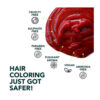 Paradyes Ammonia Free Semi-Permanent Hair Color Jar Only Rubra Red- YSX1001 - Image 3