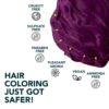 Paradyes Hair Colour Amethyst Plum- YSX1002 - Image 6