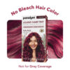 Paradyes No Bleach Ruby Rush Glossy Hair Tint- YSX1008 - Image 6