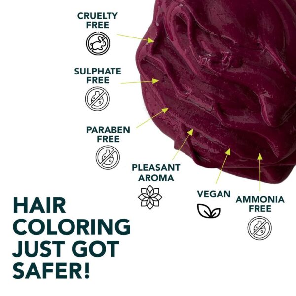 Paradyes Ammonia Free Semi-Permanent Hair Color Jar Only Ruby Wine- YSX1013 - Image 6