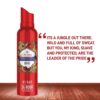 Old Spice Lionpride No Gas Deodorant Body Spray Perfume For Men- DEU1021 - Image 4