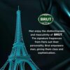 Brut Musk Deodorant Spray For Men, Long-Lasting Musky Fragrance, Imported- DEU1024 - Image 4