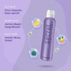 Secret Temptation Romance Deodorant for Women- DEU1025 - Image 2