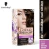 Schwarzkopf Colour Specialist Permanent Hair Colour 5-0 Light Natural Brown- YSX1035 - Image 2