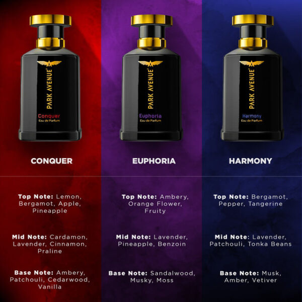 Park Avenue Eau De Perfume Euphoria- XXF1044 - Image 2