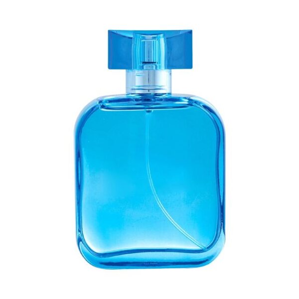 Ajmal Blu Dreams Edp Long Lasting Scent Spray Fougere Perfume Gift For Men- XXF1081 - Image 2