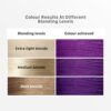 Streax Hair Colour Highlighting Kit Plum Purple For Women- YSX1063 - Image 3