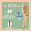 House of Beauty Dry Brush for body for lymphatic drainage, smooth skin, in-grown hair (1pc)- ESF1003 - Image 3