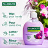 Palmolive Hand Wash Orchid & Milk- XBG1004 - Image 4