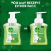 Dettol Foaming Hand Wash - Moisturizing & Gentle Pump Handwash- XBG1006 - Image 3