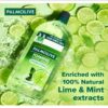 Palmolive Hydrating Lime & Mint Foaming Hand Wash- XBG1008 - Image 3