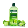 Palmolive Hydrating Lime & Mint Foaming Hand Wash- XBG1008 - Image 2