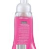 Palmolive Hydrating Raspberry Foaming Hand Wash- XBG1019 - Image 4