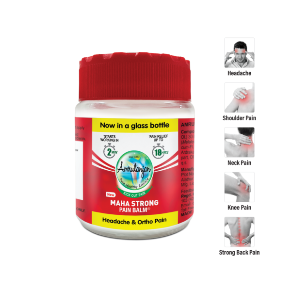 Amrutanjan Maha Strong Pain Balm- RRG1014