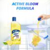 Lizol Floor Cleaner Liquid - Citrus Surface Cleaner- PSY1009 - Image 5