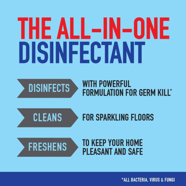 Domex Disinfectant Floor Cleaner- PSY1020 - Image 5