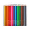 Camlin Colour Pencils Assorted Pack Of 24 Shades With Sharpener, Full Size- BSX1006 - Image 4