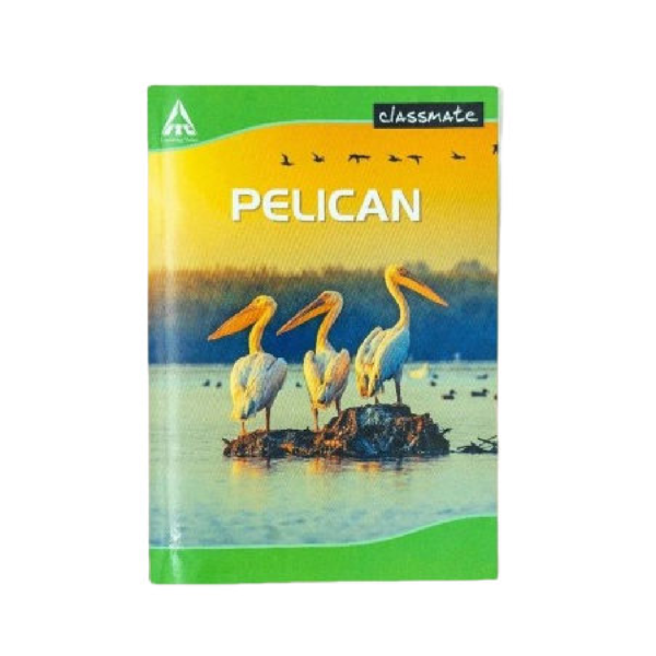 Classmate Longbook Single Line (29. 7 x 21 cm) - 72 Pages- MXP1027 - Image 3