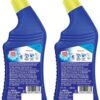 Sanifresh Advance Liquid Toilet Cleaner with Odonil Air Freshner Block- CPE1025 - Image 6