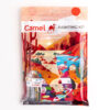 Camel Painting Kit- QLZ1017 - Image 4